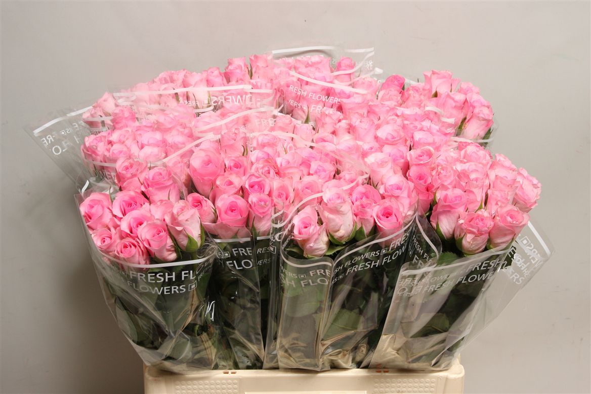 Roses Small Heads